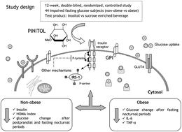 Graphical abstract: Effect of consumption of a carob pod inositol-enriched beverage on insulin sensitivity and inflammation in middle-aged prediabetic subjects