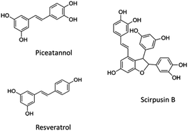 Graphical abstract: Vascular- and hepato-protective effects of passion fruit seed extract containing piceatannol in chronic high-fat diet-fed rats