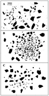 Graphical abstract: Food processing and structure impact the metabolizable energy of almonds