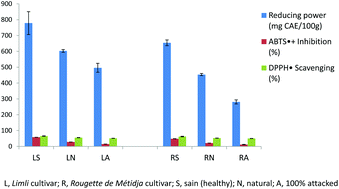 Graphical abstract: Effect of Bactrocera oleae on phenolic compounds and antioxidant and antibacterial activities of two Algerian olive cultivars