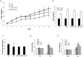 Graphical abstract: Anti-obesity effects of Arctii Fructus (Arctium lappa) in white/brown adipocytes and high-fat diet-induced obese mice