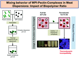 Graphical abstract: Mixing behaviour of WPI–pectin-complexes in meat dispersions: impact of biopolymer ratios