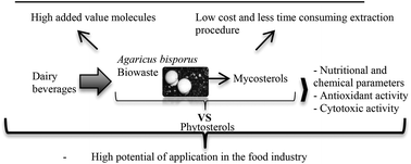 Graphical abstract: Development of dairy beverages functionalized with pure ergosterol and mycosterol extracts: an alternative to phytosterol-based beverages