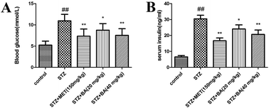 Graphical abstract: The protective effect of betulinic acid (BA) diabetic nephropathy on streptozotocin (STZ)-induced diabetic rats