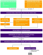 Graphical abstract: Astaxanthin in cardiovascular health and disease: mechanisms of action, therapeutic merits, and knowledge gaps