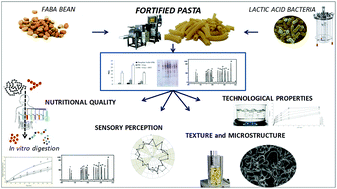 Graphical abstract: Influence of fermented faba bean flour on the nutritional, technological and sensory quality of fortified pasta