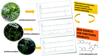 Graphical abstract: Shedding light on the biological and chemical fingerprints of three Achillea species (A. biebersteinii, A. millefolium and A. teretifolia)