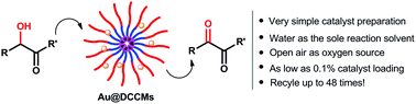 Graphical abstract: Dendrimer-like core cross-linked micelle stabilized ultra-small gold nanoclusters as a robust catalyst for aerobic oxidation of α-hydroxy ketones in water