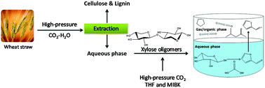 Graphical abstract: A green and efficient approach to selective conversion of xylose and biomass hemicellulose into furfural in aqueous media using high-pressure CO2 as a sustainable catalyst