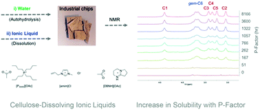 Graphical abstract: Application of mild autohydrolysis to facilitate the dissolution of wood chips in direct-dissolution solvents