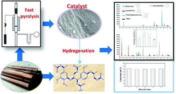 Graphical abstract: Selective hydrogenation of lignin to produce chemical commodities by using a biochar supported Ni–Mo2C catalyst obtained from biomass