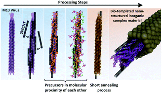 Graphical abstract: A bio-facilitated synthetic route for nano-structured complex electrode materials