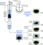 Graphical abstract: Isolation and characterization of new lignin streams derived from extractive-ammonia (EA) pretreatment