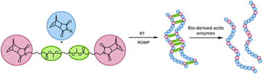 Graphical abstract: Hydrolytic degradation of ROMP thermosetting materials catalysed by bio-derived acids and enzymes: from networks to linear materials