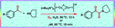 Graphical abstract: Microwave-assisted direct oxidative synthesis of α-ketoamides from aryl methyl ketones and amines by a water soluble Cu(i)-complex