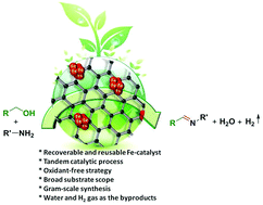 Graphical abstract: Sustainable iron-catalyzed direct imine formation by acceptorless dehydrogenative coupling of alcohols with amines