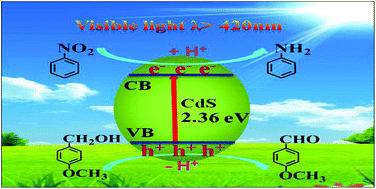 Graphical abstract: Efficient utilization of photogenerated electrons and holes for photocatalytic selective organic syntheses in one reaction system using a narrow band gap CdS photocatalyst