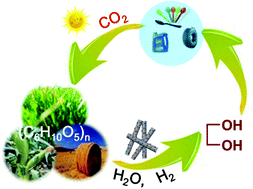 Graphical abstract: Versatile nickel–tungsten bimetallics/carbon nanofiber catalysts for direct conversion of cellulose to ethylene glycol