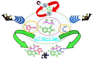 Graphical abstract: Synthetic, mechanistic and kinetic studies on the organo-nanocatalyzed synthesis of oxygen and nitrogen containing spiro compounds under ultrasonic conditions