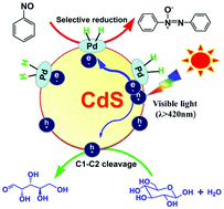 Graphical abstract: Simultaneous and selective transformation of glucose to arabinose and nitrosobenzene to azoxybenzene driven by visible-light