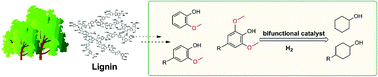 Graphical abstract: Selective hydrodeoxygenation of lignin-derived phenols to alkyl cyclohexanols over a Ru-solid base bifunctional catalyst