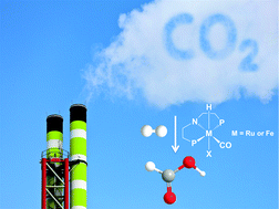 Graphical abstract: CO2 capture by amines in aqueous media and its subsequent conversion to formate with reusable ruthenium and iron catalysts