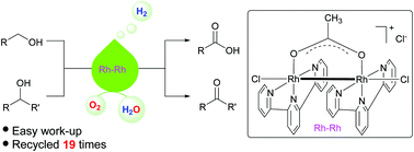 Graphical abstract: Acceptorless dehydrogenation and aerobic oxidation of alcohols with a reusable binuclear rhodium(ii) catalyst in water