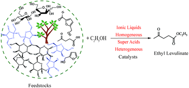 Graphical abstract: Catalytic and mechanistic insights into the production of ethyl levulinate from biorenewable feedstocks