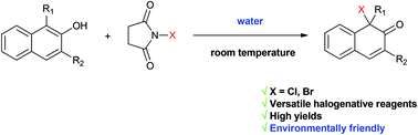 Graphical abstract: Direct halogenative dearomatization of 2-naphthols by NXS (X = Cl, Br) in water