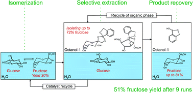 Graphical abstract: Fructose production via extraction-assisted isomerization of glucose catalyzed by phosphates