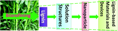 Graphical abstract: From lignin association to nano-/micro-particle preparation: extracting higher value of lignin