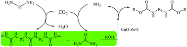 Graphical abstract: Catalytic degradation of polyurea: synthesis of N-substituted carbamates with CuO–ZnO as the catalyst