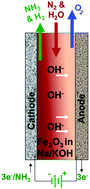 Graphical abstract: Electrochemical synthesis of ammonia directly from N2 and water over iron-based catalysts supported on activated carbon