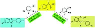 Graphical abstract: Niobium-promoted reaction of α-phenylglyoxylic acid with ortho-functionalized anilines: synthesis of 2-arylbenzothiazoles and 3-aryl-2H-benzo[b][1,4]benzoxazin-2-ones