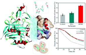 Graphical abstract: Pretreating cellulases with hydrophobins for improving bioconversion of cellulose: an experimental and computational study