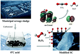 Graphical abstract: Low temperature modified sludge-derived carbon catalysts for efficient catalytic wet peroxide oxidation of m-cresol