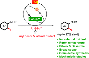 Graphical abstract: A unified strategy for silver-, base-, and oxidant-free direct arylation of C–H bonds