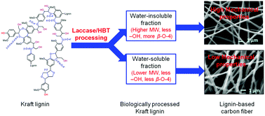 Graphical abstract: Quality carbon fibers from fractionated lignin