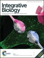 Graphical abstract: Front cover