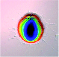 Graphical abstract: Investigation on the suitability of ablated carbon as an internal standard in laser ablation ICP-MS of polymers