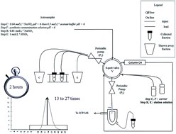 Graphical abstract: Coupling between a calix[6]arene-based chromatography column and ICP-MS for on-line actinide analysis