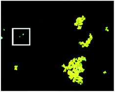 Graphical abstract: High resolution isotopic analysis of U-bearing particles via fusion of SIMS and EDS images