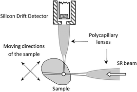 Graphical abstract: FPM model calculation for micro X-ray fluorescence confocal imaging using synchrotron radiation