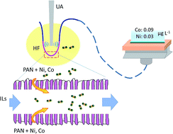 Graphical abstract: Ultrasound-assisted hollow fiber/ionic liquid-based liquid phase microextraction using an ionic liquid solvent for preconcentration of cobalt and nickel ions in urine samples prior to FAAS determination