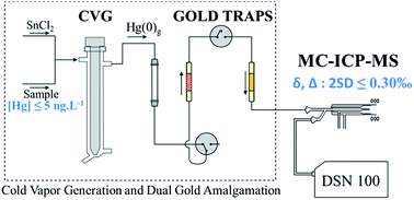 Graphical abstract: Determination of total Hg isotopic composition at ultra-trace levels by on line cold vapor generation and dual gold-amalgamation coupled to MC-ICP-MS