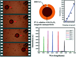 Graphical abstract: Microfluidic fabrication of cholesteric liquid crystal core–shell structures toward magnetically transportable microlasers