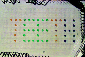 Graphical abstract: High-throughput dental biofilm growth analysis for multiparametric microenvironmental biochemical conditions using microfluidics