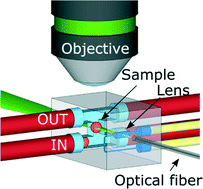 Graphical abstract: Selective plane illumination microscopy on a chip