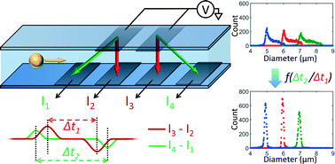 Graphical abstract: High accuracy particle analysis using sheathless microfluidic impedance cytometry