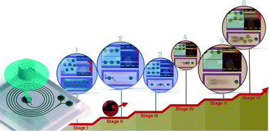 Graphical abstract: Fundamentals of elasto-inertial particle focusing in curved microfluidic channels